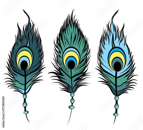 Set of peacock feathers. Exotic bird feathers. Gorgeous ornamental decorative and blue feather. Peacock feather design. Vectorb illustration. 