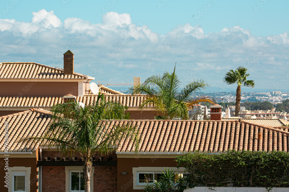 Fototapeta premium Bricks roof with palms with panorama view 