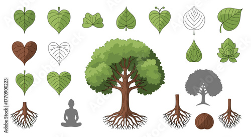 Tree life cycle elements, roots, leaves, silhouette, and seed