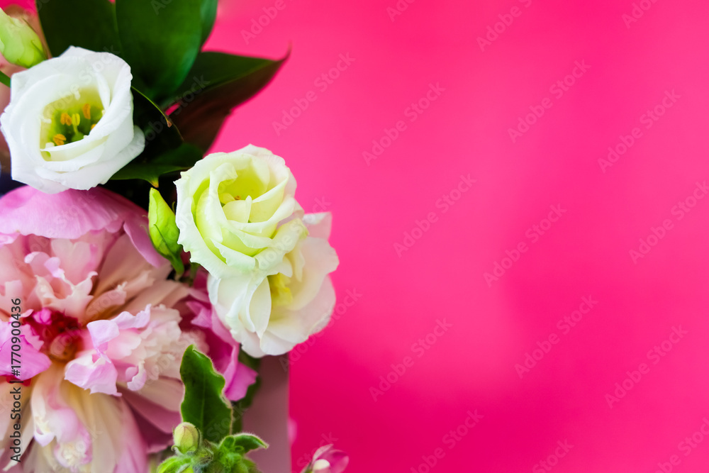 Fototapeta premium Beautiful flower arrangement with vibrant colors on a pink background during daylight