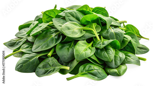 spinach leaves isolated on transparent white background full depth of field clipping path