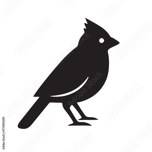 Elegant northern cardinal bird illustration for cards and invitations