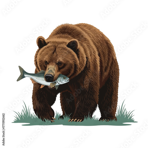 illustration of a brown bear grabbing fish with its paws