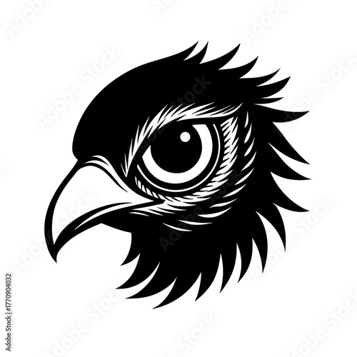 Intense black silhouette of a fierce bird of prey head isolated on white background