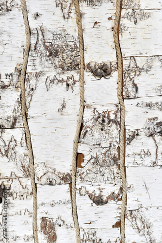 Birch bark