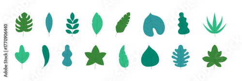 Green leaf set. Eco natural plant cartoon sign. Isolated leaf vector set. Ecology eco nature sign.