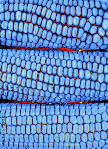 Digitally enhanced macro photo of corn kernels in vivid blue tones. Abstract geometric texture with high contrast. Great for design, modern art, and futuristic backgrounds