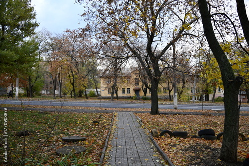 Street dog in india roaming freely in indian village rural city street