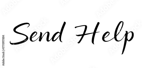 Send Help handwritten inscription in elegant black ink