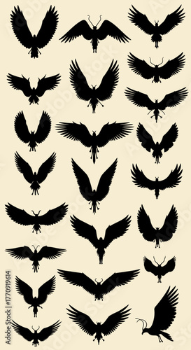 Collection of various bird silhouettes in flight with wings spread.
