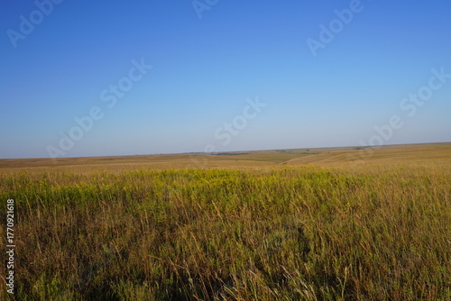 Kansas Prairie under blue sky
