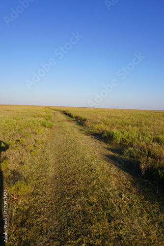 Kansas Prairie under blue sky