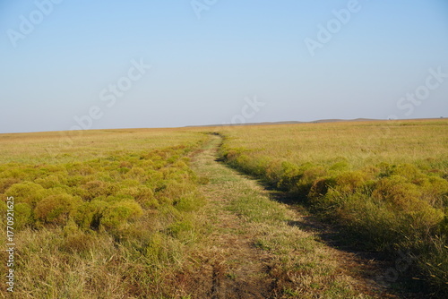 Dirt road across open grassland under blue sky