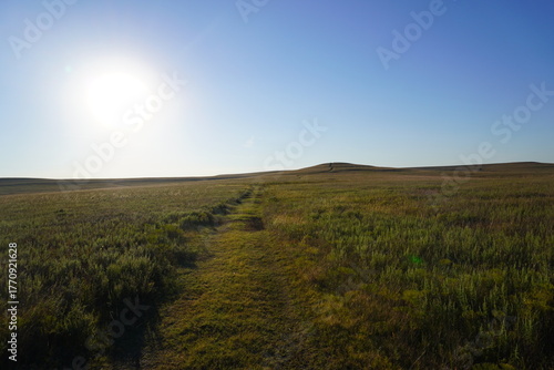Dirt road across open grassland under blue sky