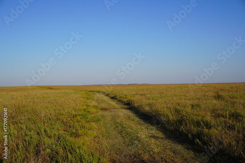 Dirt road across open grassland under blue sky