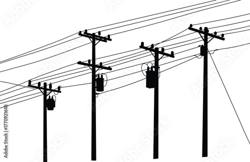 Utility poles silhouette, taut power lines, transformer boxes, insulators, crossarms, electricity grid, infrastructure system, voltage control, white