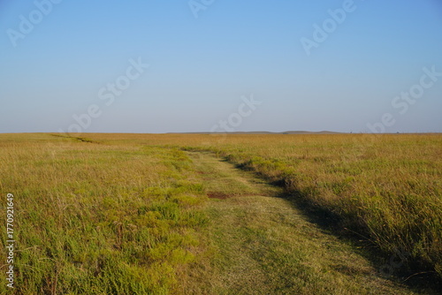 Scenic country road across the Great Plains