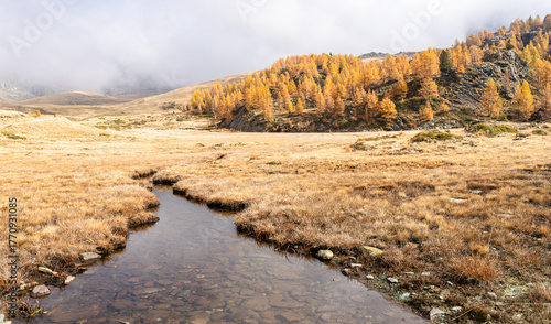 Valmalenco in autunno col foliage