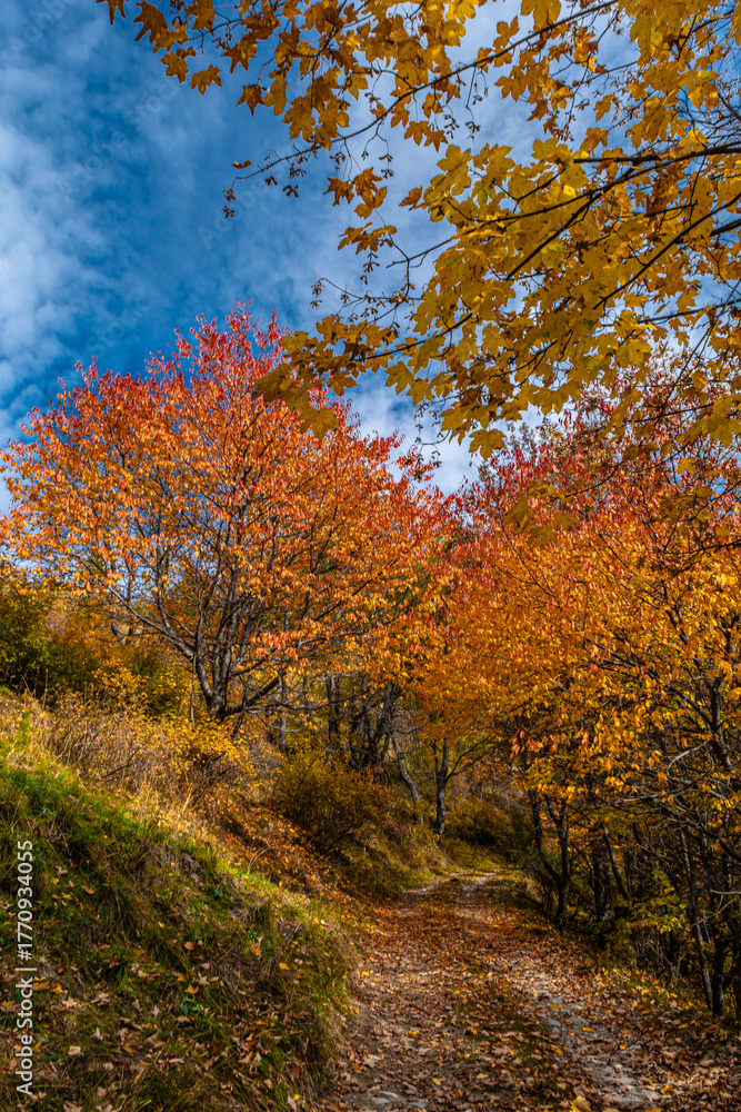 Fototapeta premium Nel vallone di Colombata (Acceglio-Valle Maira) in un pomeriggio di autunno
