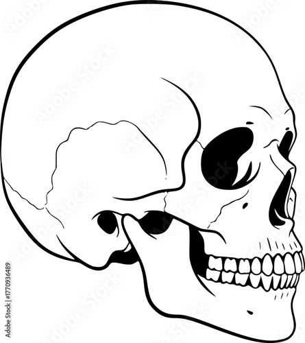 Skull | Minimalist and Simple Silhouette - Vector illustration
