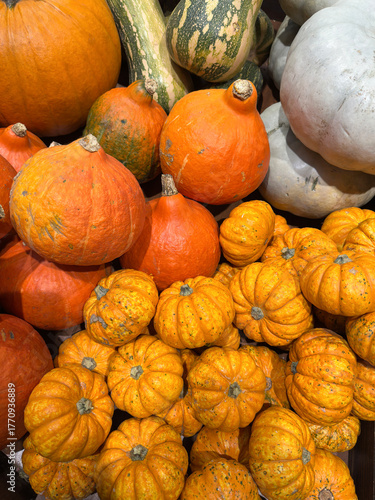 Assortment of colorful pumpkins including orange, green-striped, and white varieties, piled together in a bountiful autumn harvest display on a rustic surface