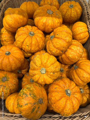 Abundant small orange pumpkins overflowing from a woven wicker basket, showcasing ribbed textures and vibrant hues that capture the essence of fall harvest bounty