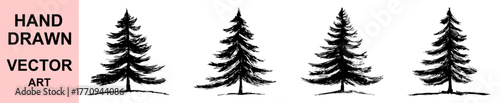 Detailed hand drawn pine tree vector illustration, forest evergreen conifer tree sketch art, black and white nature silhouette design for landscape, outdoor and wilderness themed projects