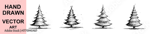 Hand drawn pine tree vector illustration, black and white forest tree sketch art, natural woodland evergreen design, detailed ink drawing for nature, outdoor and wilderness projects