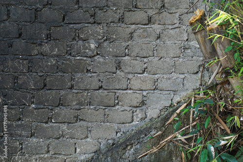 A wall with original texture, although not neat, looks charming when ornamental plants are kept in front of it, becoming an image theme for a particular design.                                       