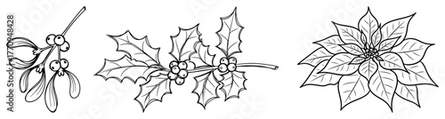Christmas botanical elements – mistletoe, holly and poinsettia line art set