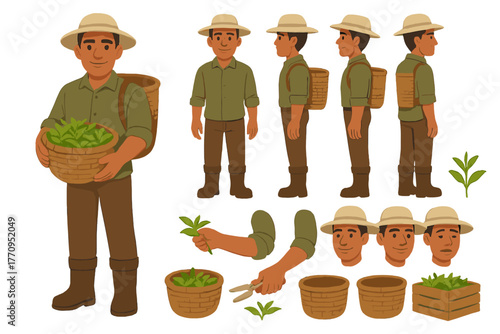 Tea Plantation Worker. Cartoon realistic vector illustration, Character constructor style, isolated