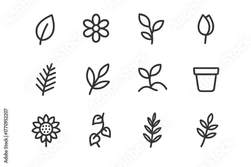 Natural Elements Icons. Natural elements. Line outline icon set of natural elements: leaf, flower, plant, bud,
