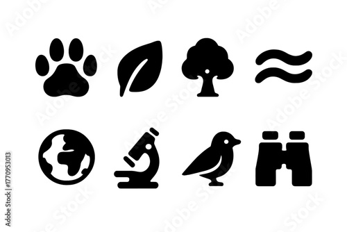 Conservation Study Icons. Conservation study. Filled icon set of conservation study: animal paw, leaf, tree,
