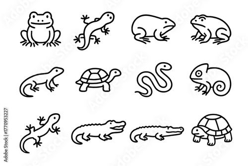Amphibian Icon Set. Amphibian species. Line outline icon set of amphibian species: frog, salamander, newt,
