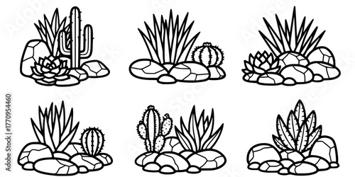 Xeriscape Rock Garden Drought Tolerant Flat Vector