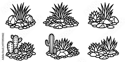 Xeriscape Rock Garden Drought Tolerant Flat Vector