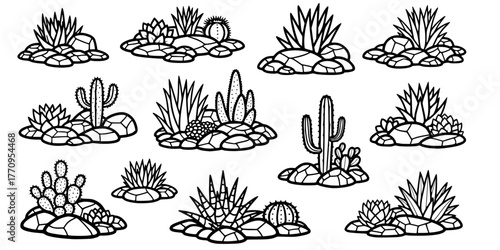 Xeriscape Rock Garden Drought Tolerant Flat Vector