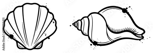 Seashell duo – scallop and conch with ink splatter accents – marine decor illustration