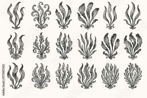 Ornamental foliage and flame motifs in symmetrical black and white sketch style