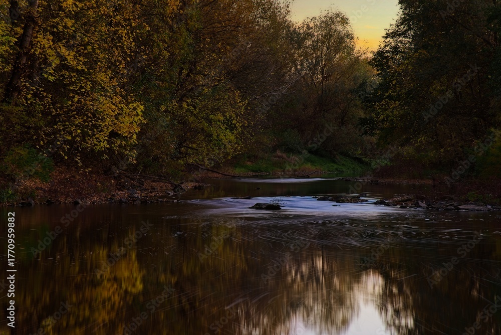 Fototapeta premium Reflection of trees in the sunset river