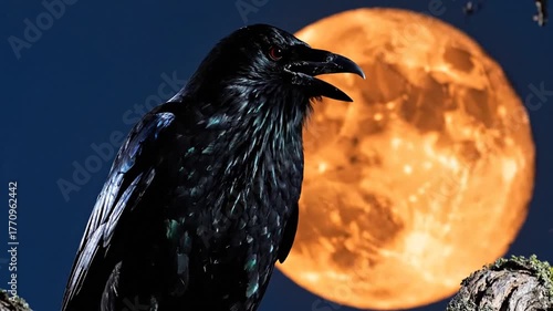Black raven perched on a branch with large orange moon in the dark night sky background