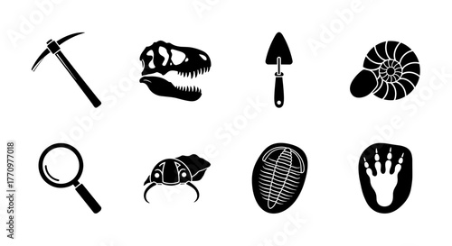 Paleontology icons discovery tools dinosaur fossil science exploration ancient life history