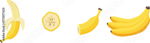 Yellow banana fruits. Whole and peeled bananas icon. Organic tropical fruit for juice, smoothie or healthy food. Vector illustration isolated on white background.
