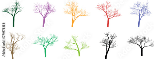 Colorful Bare Tree Silhouettes Set Against White Background for Design