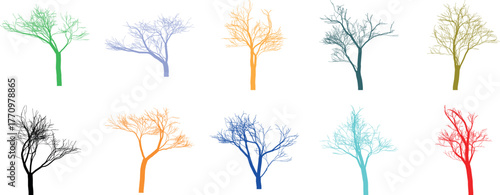 Colorful Autumn Trees Silhouettes Vector Illustration on White Background Isolated