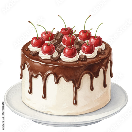 Cherry chocolate cake vector illustration isolated. Rich chocolate drip glaze, whipped cream dollops, whole cherries on top.