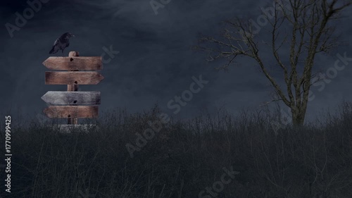 Raven on a desolate road sign