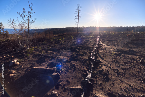 Fire devastation at North Rim AZ