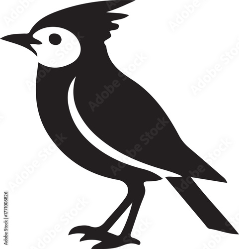 Black Silhouette of a Bird with a Crested Head and Detailed Markings avian animal