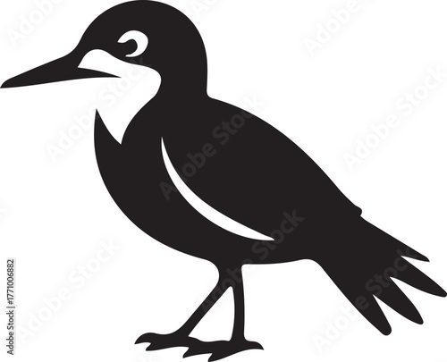 Black Silhouette of a Small Bird with a Long Beak and Detailed Eye avian animal